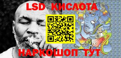 шишки Можга