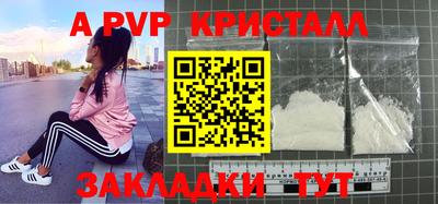 шишки Можга